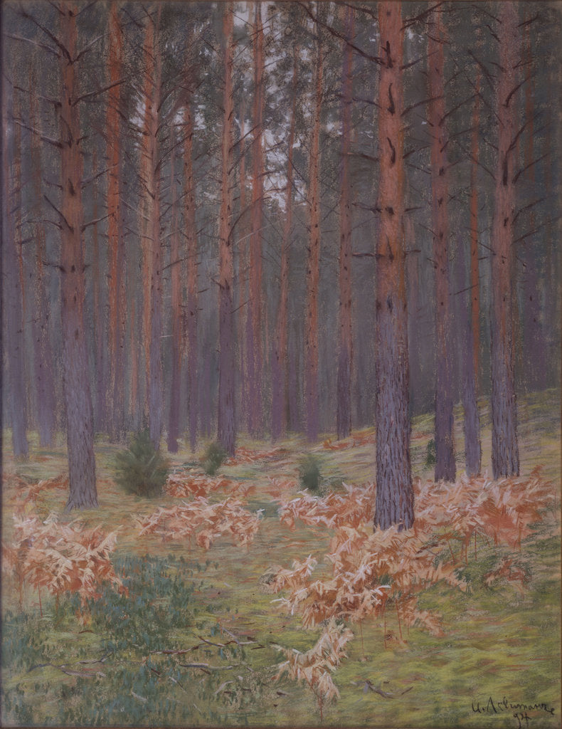 Detail of Ferns, 1894 by Isaak Ilyich Levitan