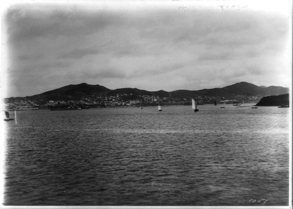 Detail of Vladivostok - panoramic view from harbor by William Henry Jackson