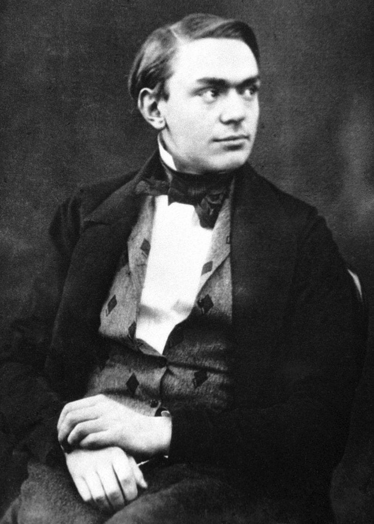 Detail of Alfred Nobel (1833?1896), aged 20 by Anonymous
