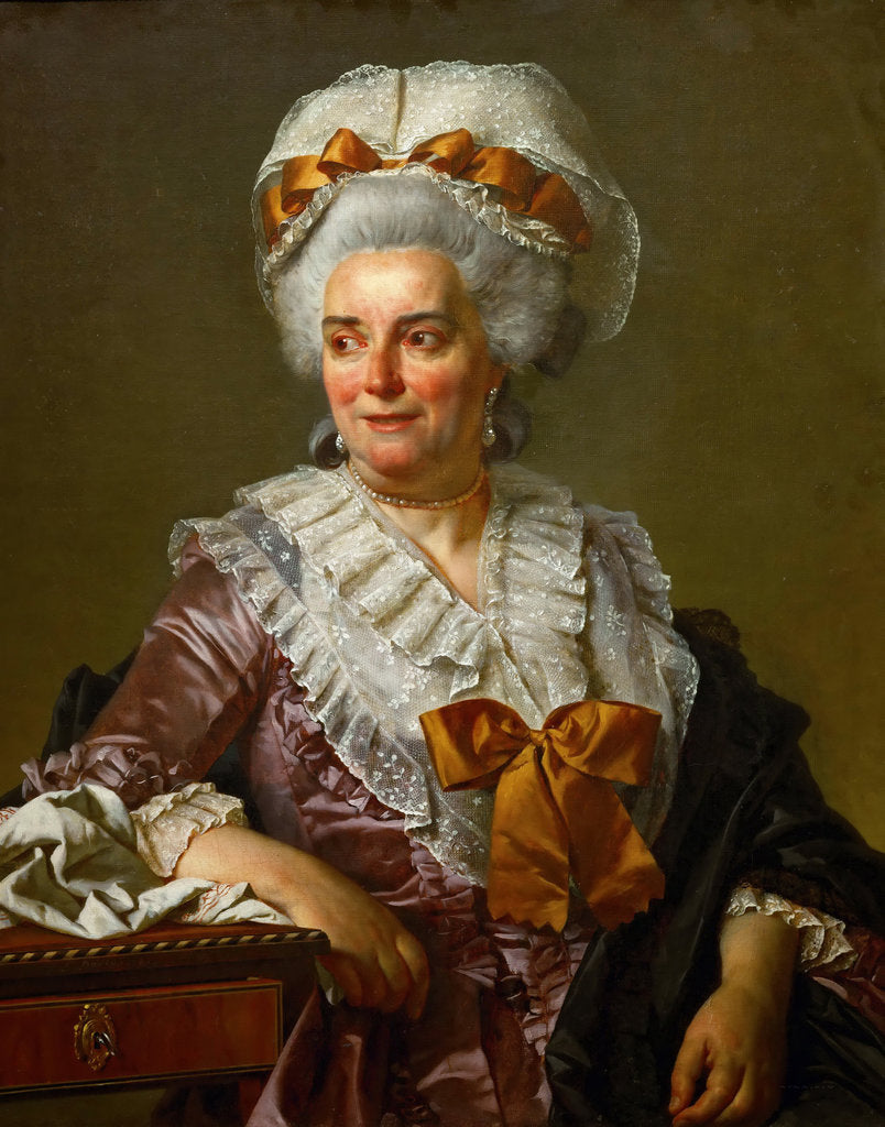 Detail of Portrait of Geneviève Jacqueline Pécoul by Jacques Louis David