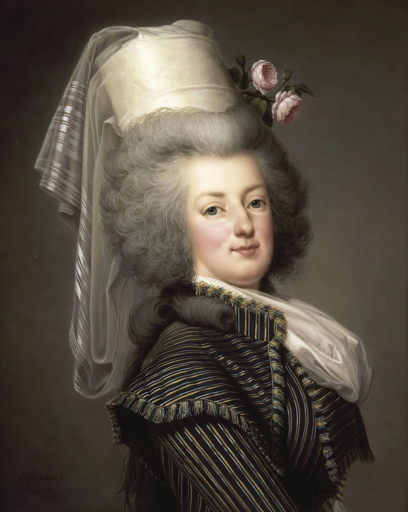 Detail of Portrait of Queen Marie Antoinette of France by Adolf Ulrik Wertmüller