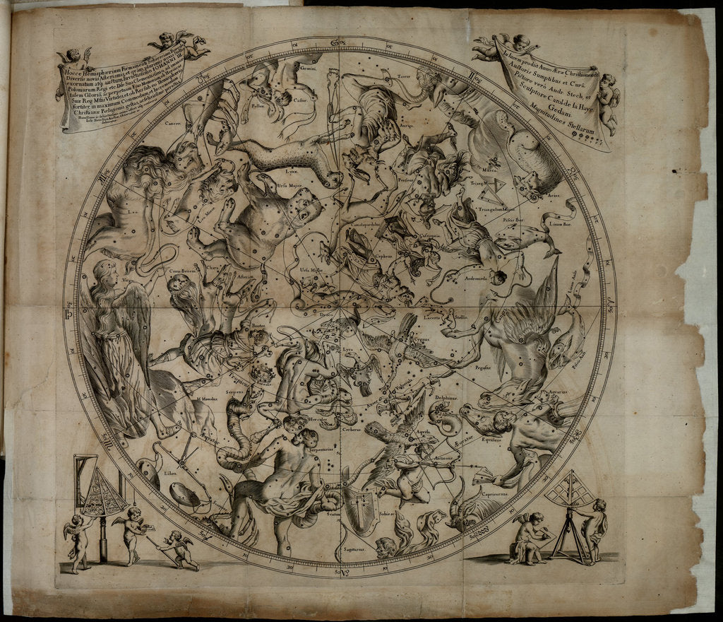 Detail of Table of the constellation of the Northern Hemisphere (Firmamentum Sobiescianumsive Uranographia) by Johannes Hevelius