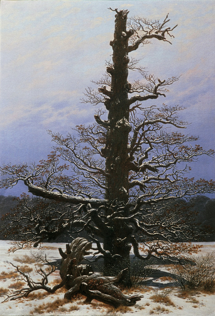 Detail of Oak Tree in the Snow by Caspar David Friedrich