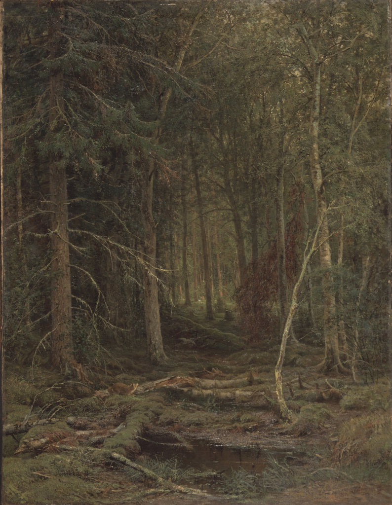 Detail of Backwoods by Ivan Ivanovich Shishkin
