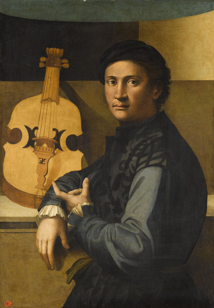 Detail of Portrait of a viola player by Paolo Zacchia the Elder