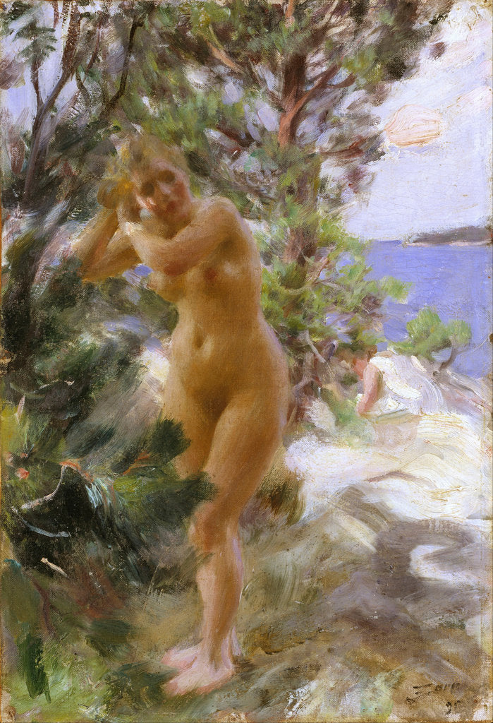 Detail of After the Bath by Anders Leonard Zorn