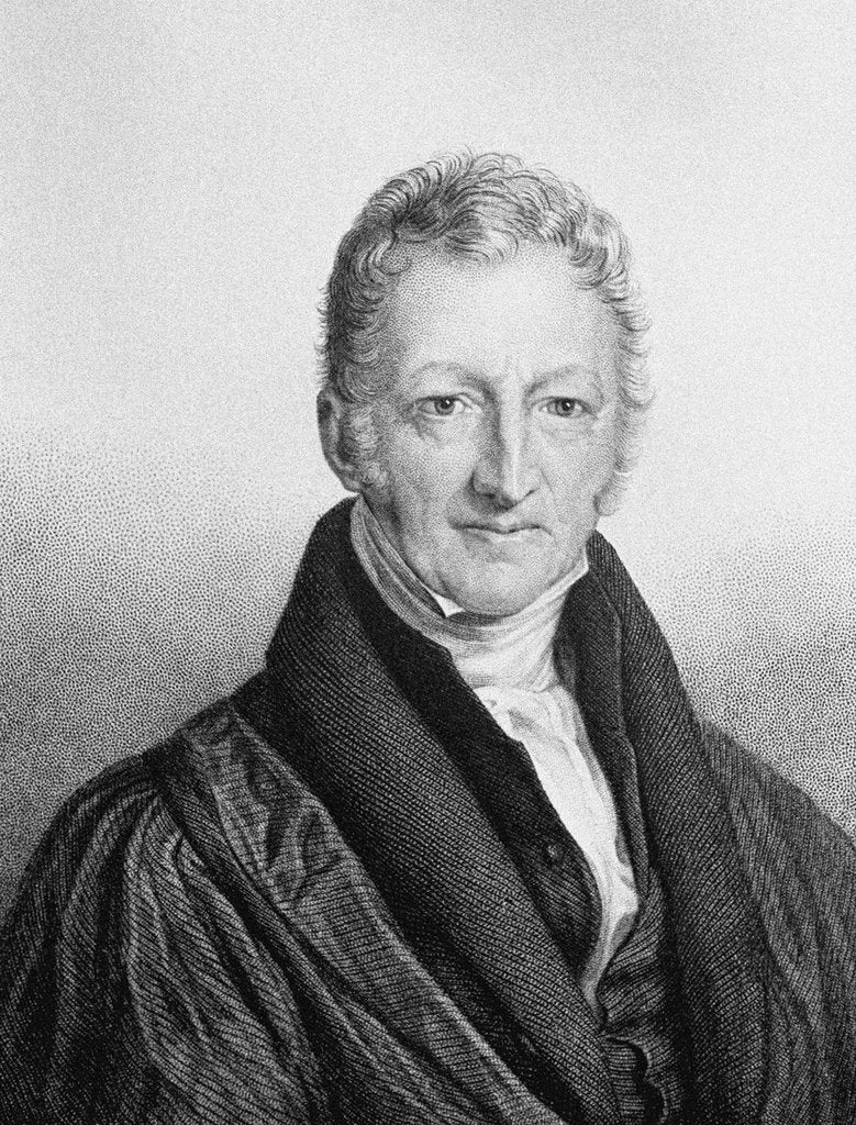 Detail of Portrait of Thomas Robert Malthus by John Linnell