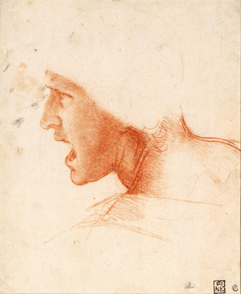 Detail of Study of a Warriors Head for the Battle of Anghiari by Leonardo da Vinci