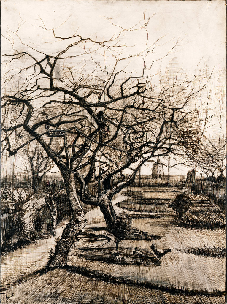 Detail of The Parsonage Garden at Nuenen in Winter by Vincent van Gogh