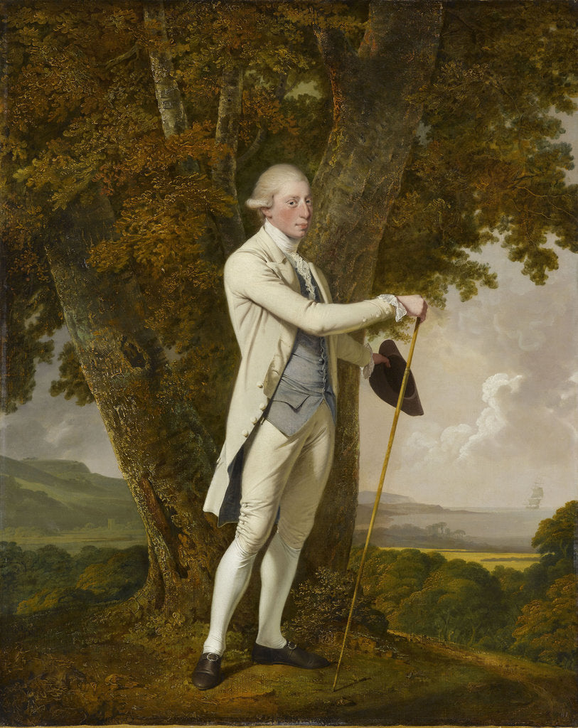Detail of Portrait of John Milnes by Joseph Wright of Derby