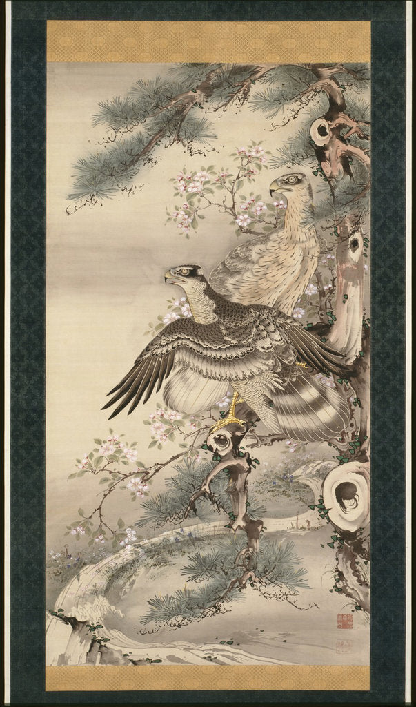 Detail of Pair of Hawks with Branch and Blossoms by Soga Shohaku