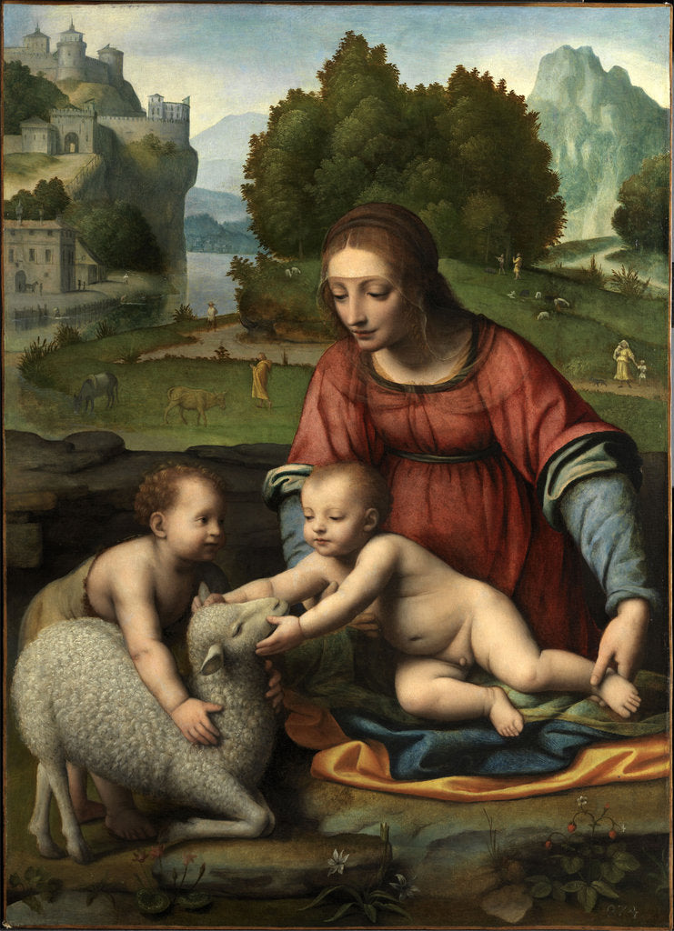 Detail of The Virgin and Child with the Infant Saint John by Bernardino Luini