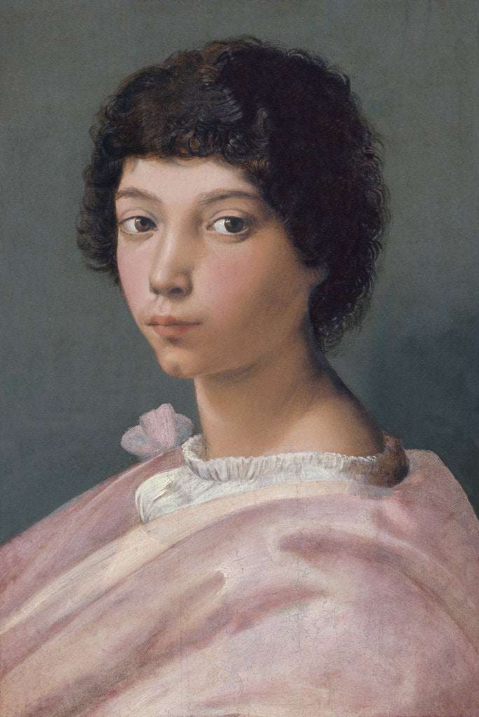Detail of Portrait of a young Man by Raphael