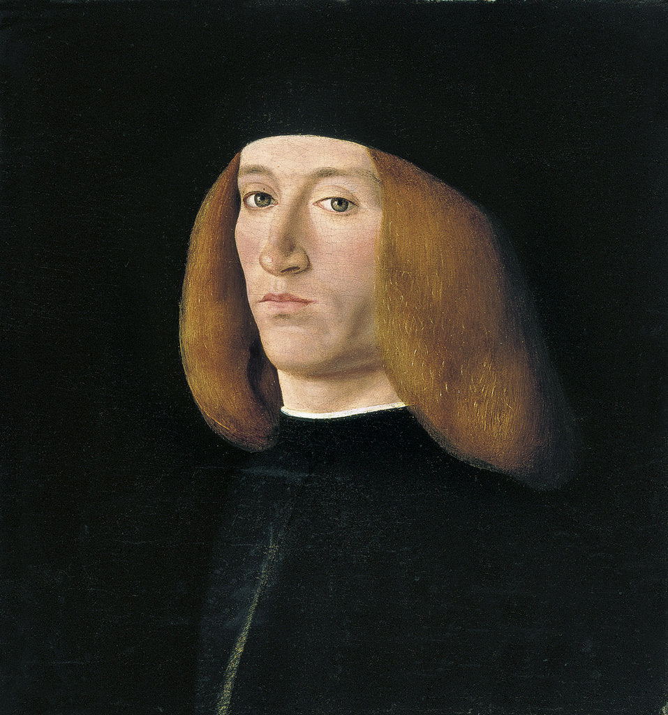 Detail of Portrait of a Young Man by Andrea Solari
