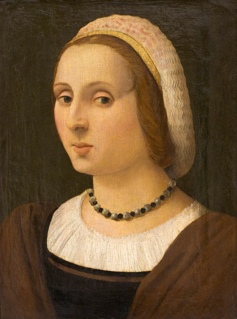 Detail of Portrait of a Lady by Vincenzo Tamagni