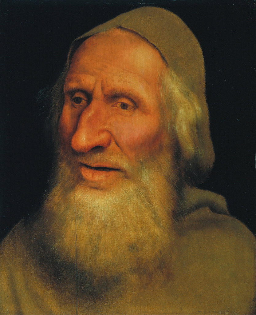 Detail of Head of an Old Man by Quentin Massys