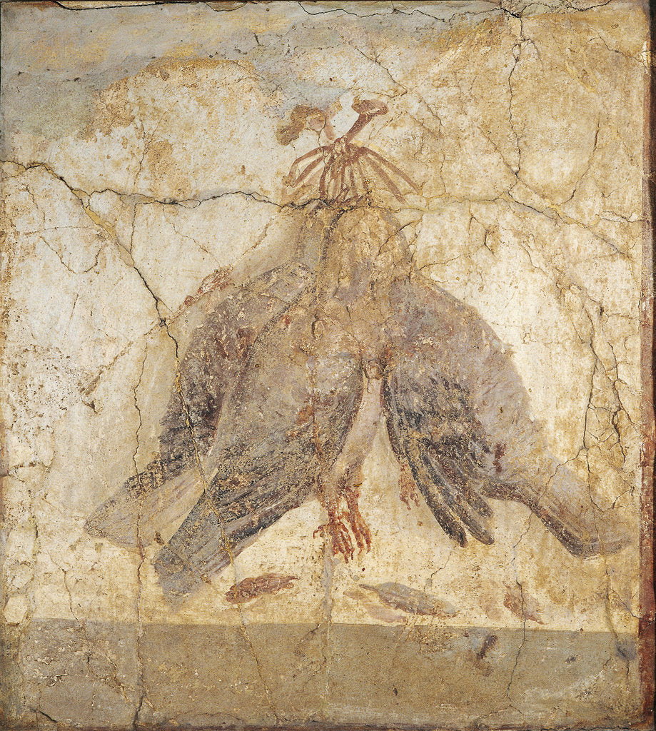 Detail of Still Life with the birds hanging from a nail by Roman master
