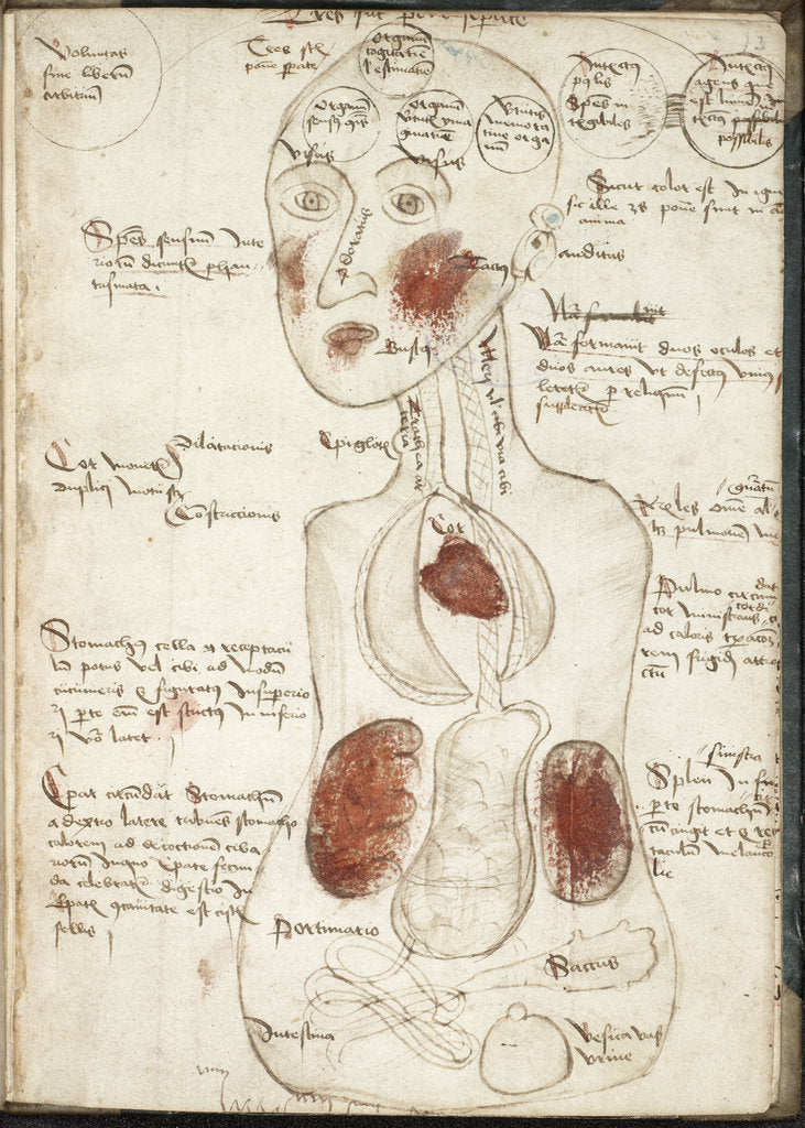 Detail of Representation of an Aristotelian Theory of Consciousness by Anonymous