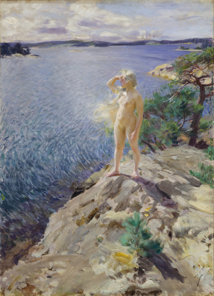 Detail of In the Skerries by Anders Leonard Zorn