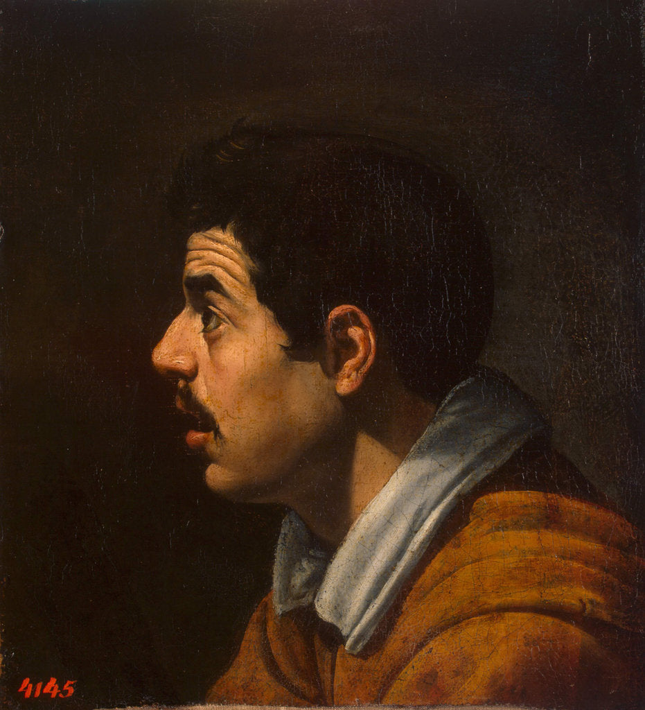 Detail of Head of a Man in Profile, c. 1616-1617 by Diego Velàzquez