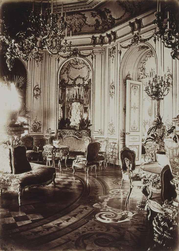 Detail of The Stroganov palace in Saint Petersburg. Oval Living Room, 1860s by Giovanni Bianchi