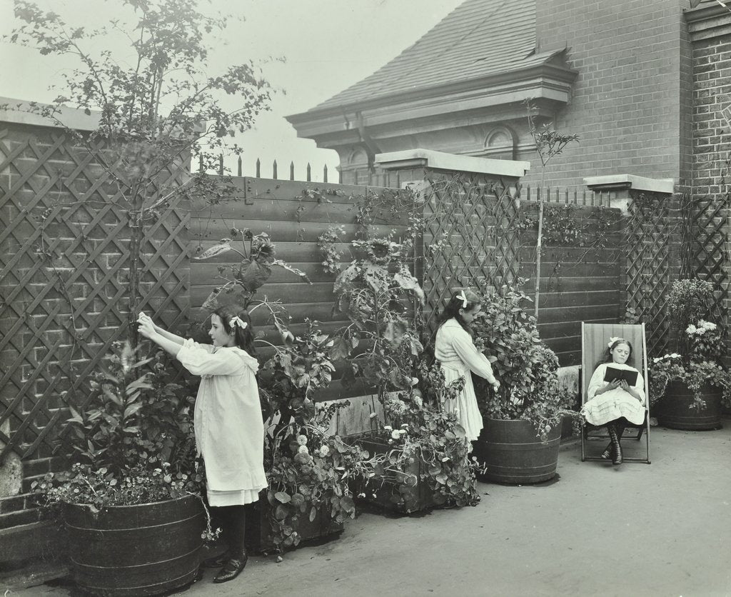 Detail of Girls gardening and reading in a roof top garden, White Lion Street School, London, 1912 by Unknown