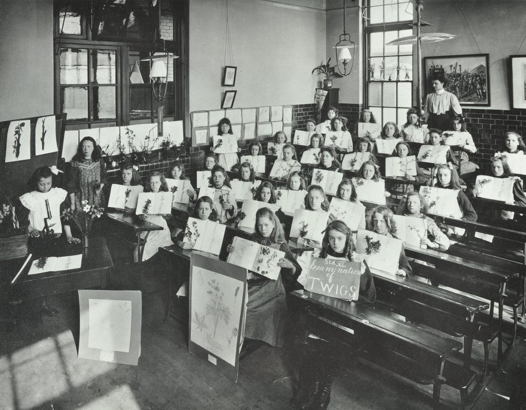 Detail of Nature lesson, Albion Street Girls School, Rotherhithe, London, 1908 by Unknown