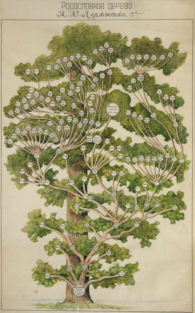 Detail of The family tree of Mikhail Lermontov, 1930s by Anonymous
