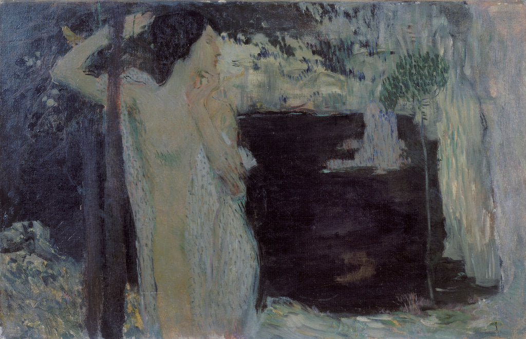 Detail of Woman at Black Lake, 1904 by Jan Preisler