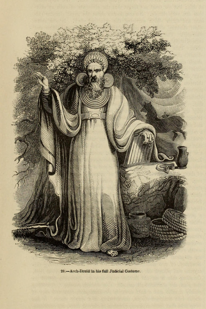 Detail of Arch-Druid in his full Judicial Costume by Anonymous