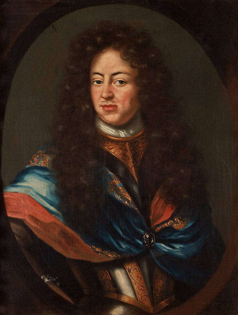 Detail of Portrait of Charles XI of Sweden by Martin van Mytens