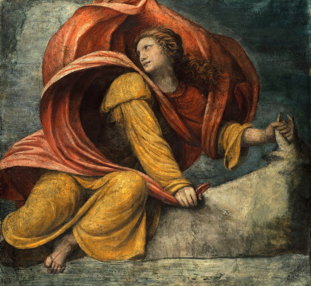 Detail of The Rape of Europa by Bernardino Luini
