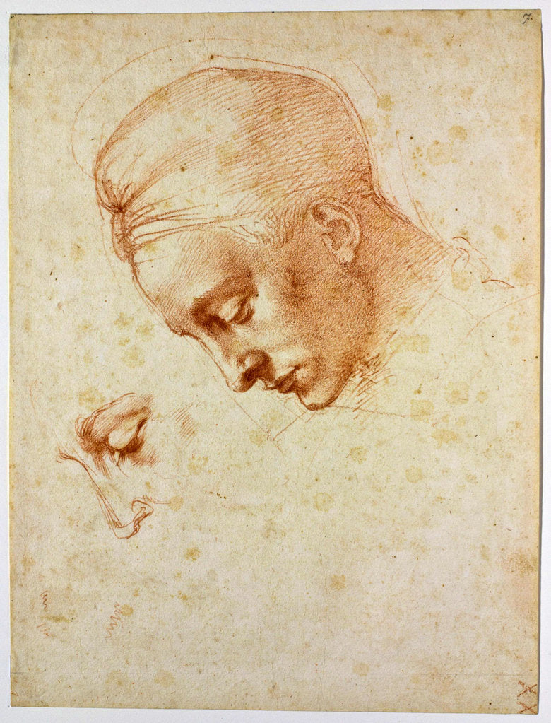 Detail of Study to the head of Leda, ca 1530 by Michelangelo Buonarroti