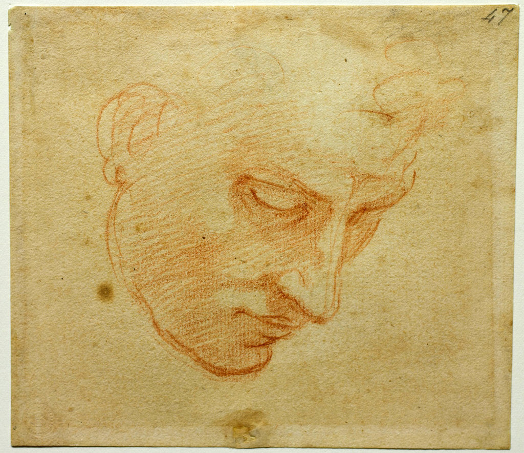 Detail of Head Study to the Sistine Chapel ceiling, ca 1509-1510 by Michelangelo Buonarroti
