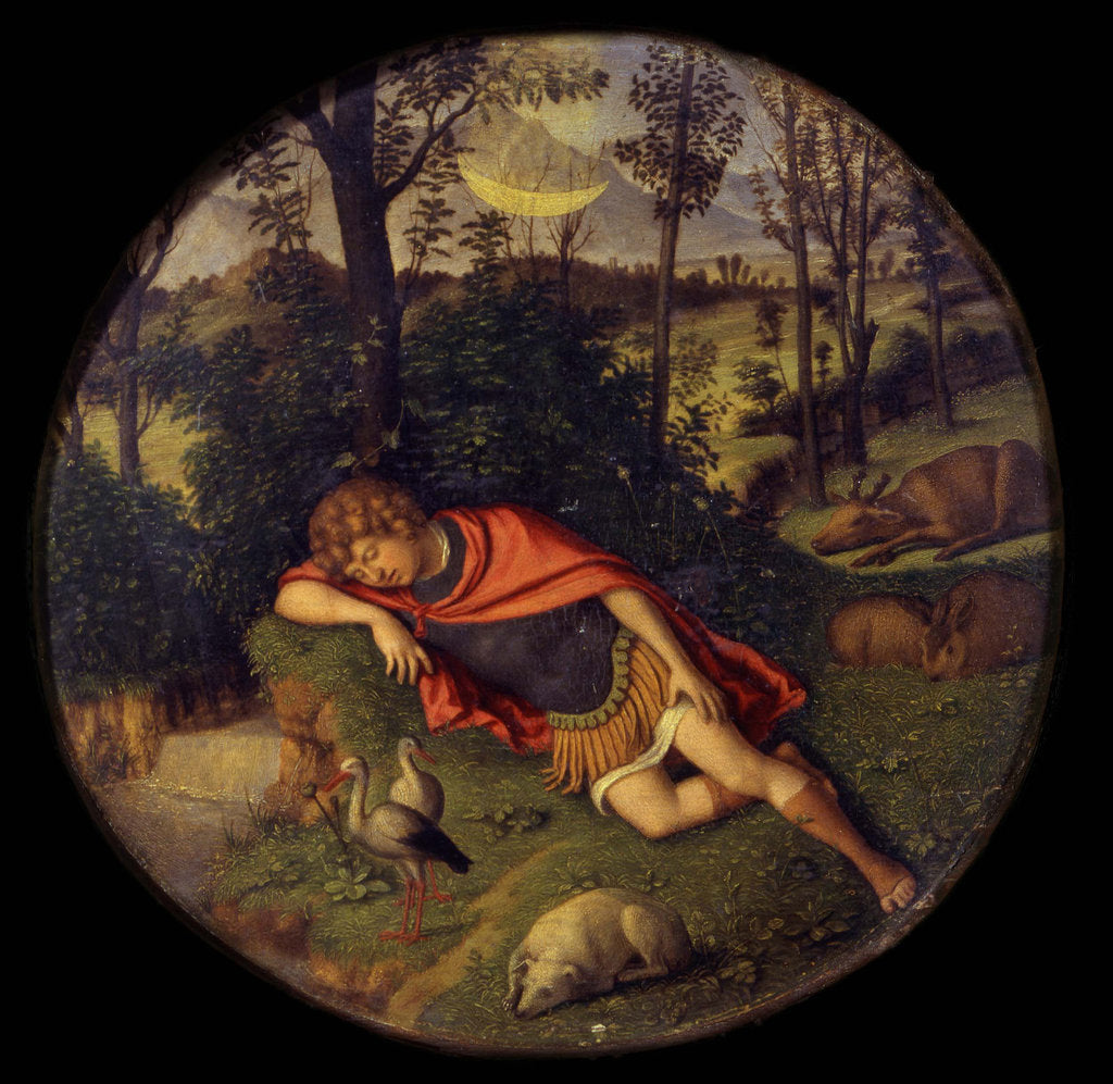 Detail of Sleeping Endymion, 1505-1508 by Giovanni Battista Cima da Conegliano