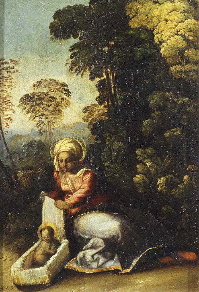 Detail of Madonna with Child (La Zingarella), c. 1513 by Dosso Dossi