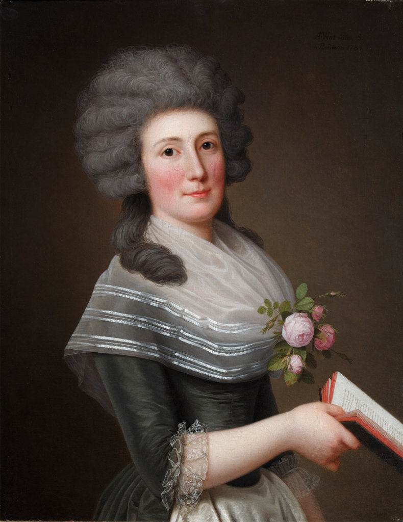 Detail of Portrait of Madame Wittfooth, nee Noer, 1789 by Adolf Ulrik Wertmüller