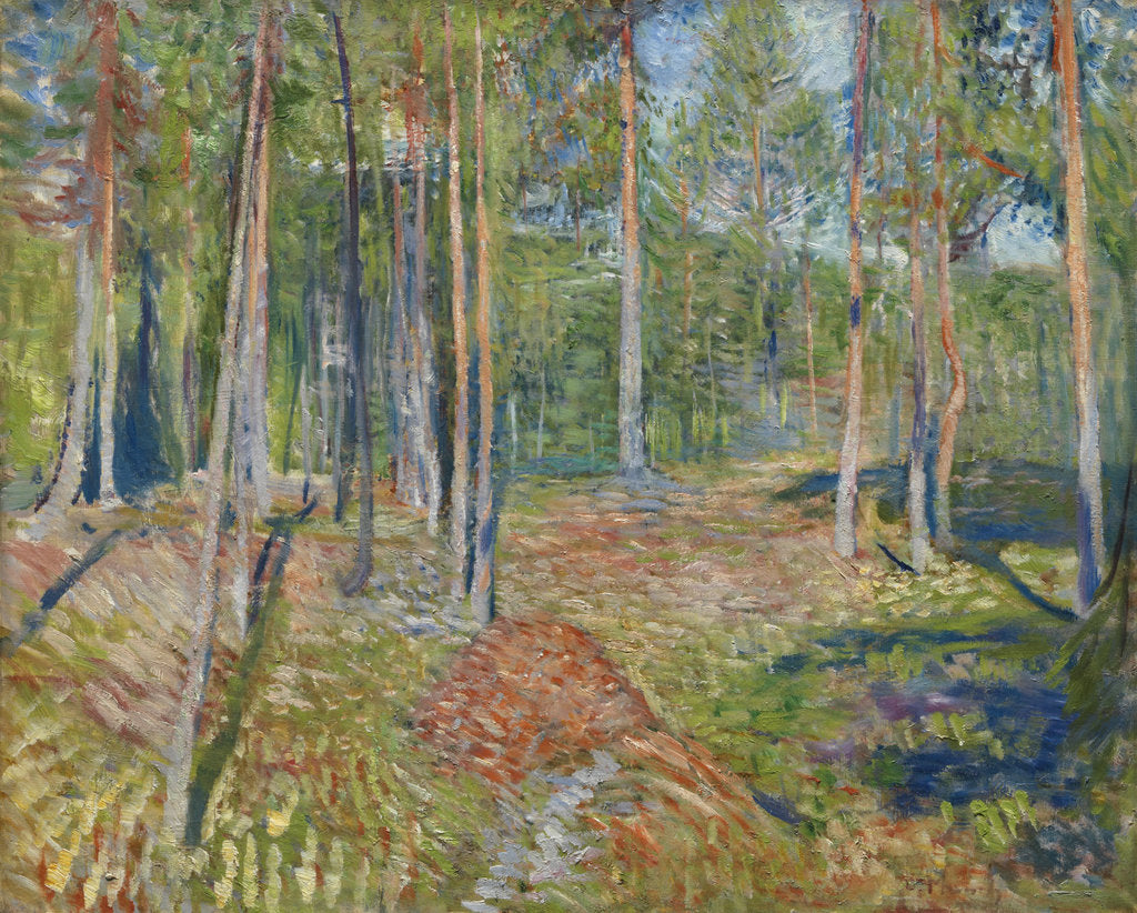 Detail of Pine Forest, 1891-1892 by Edvard Munch