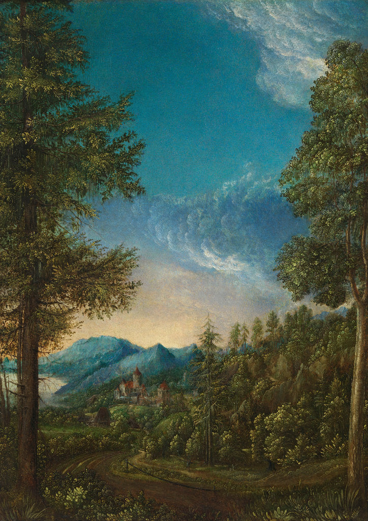 Landscape with Castle, c. 1525 by Albrecht Altdorfer