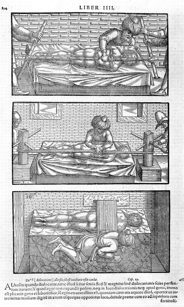 Detail of Illustration from Liber canonis de medicinis cordialibus by Avicenna, 1556 by Anonymous