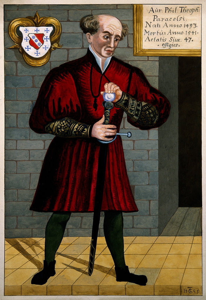 Detail of Philippus Theophrastus Aureolus Bombastus von Hohenheim (Paracelsus), c. 1550 by Anonymous
