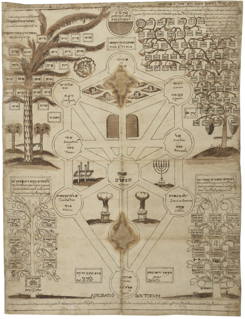 Detail of Arbor Cabalistica (Kabbalistic Tree), ca 1625 by Anonymous