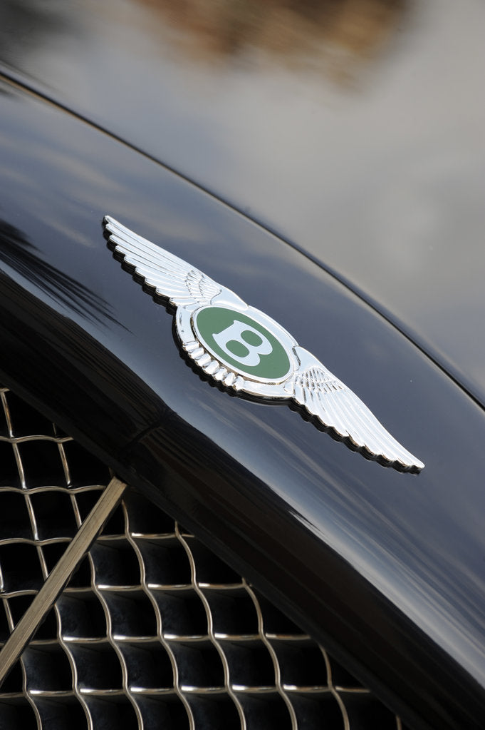 Detail of Bentley Continental 2001 by Simon Clay
