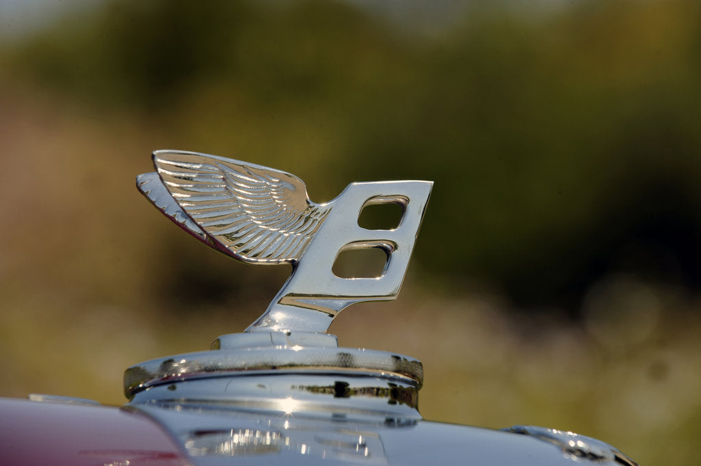 Detail of Bentley R type Continental 1954 by Simon Clay