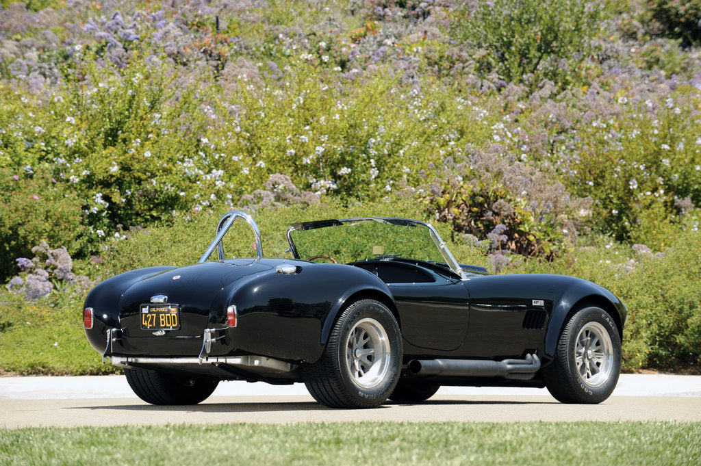 Detail of AC Cobra 427 1966 by Simon Clay