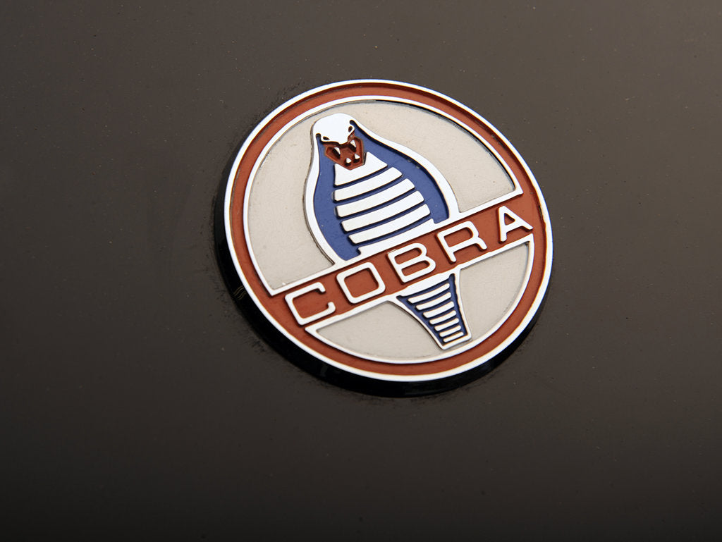 Detail of AC Cobra 427 1966 by Simon Clay