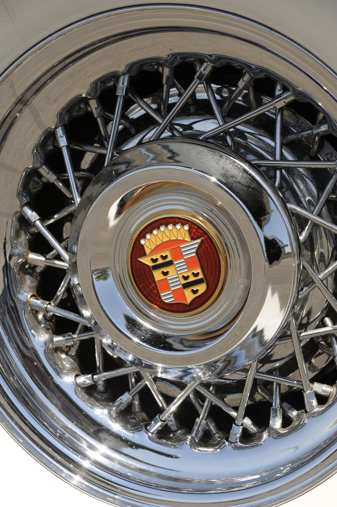 Detail of Cadillac Eldorado 1959 by Simon Clay