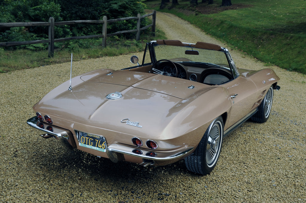 Detail of Chevrolet Corvette Stingray convertible 1964 by Simon Clay
