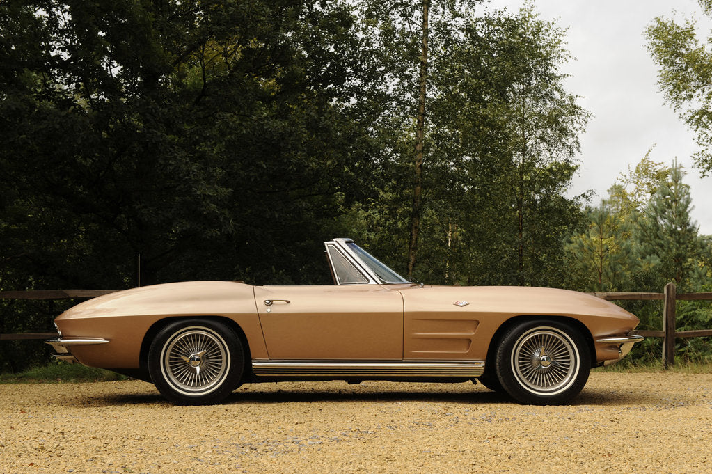 Detail of Chevrolet Corvette Stingray convertible 1964 by Simon Clay