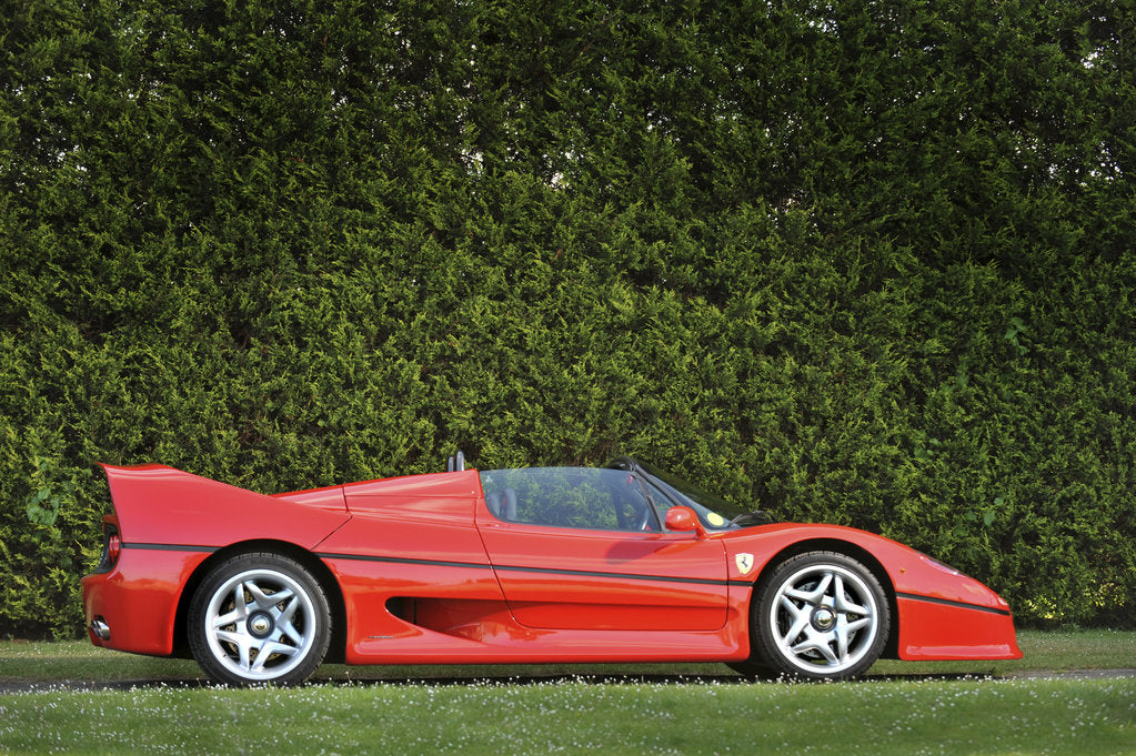 Detail of Ferrari F50 1996 by Simon Clay